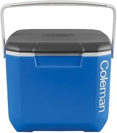 ¿Cuáles son las mejores neveras portátiles para conservar hielo y bebidas?