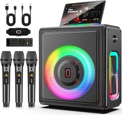 Solución a problemas comunes con altavoces portátiles de karaoke al aire libre
