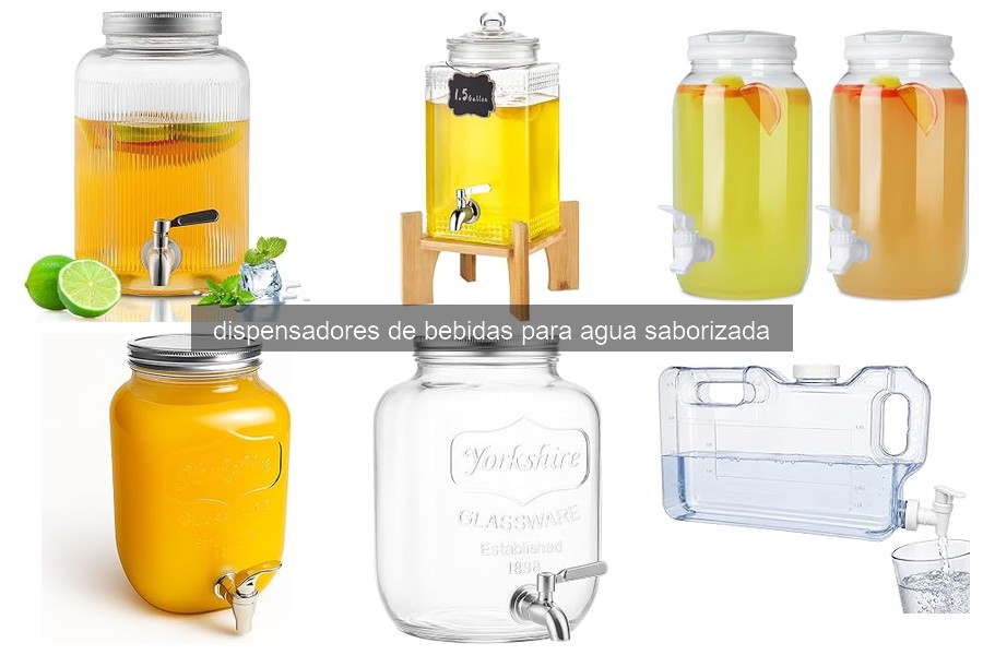 Mejores dispensadores de bebidas para agua saborizada 2026