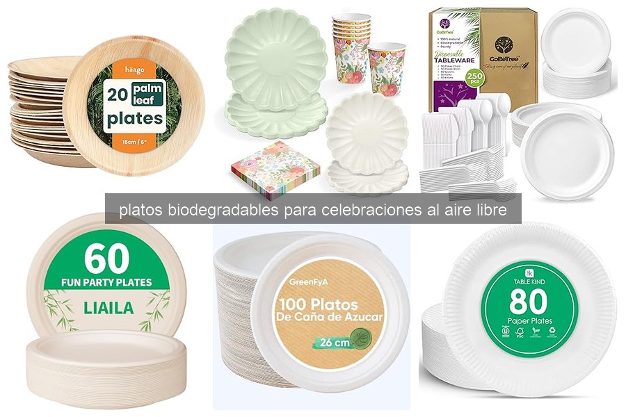Mejores platos biodegradables para fiestas al aire libre 2026