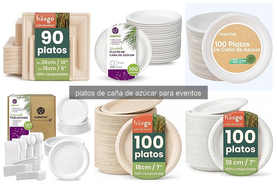 Mejores platos de caña de azúcar para fiestas al aire libre
