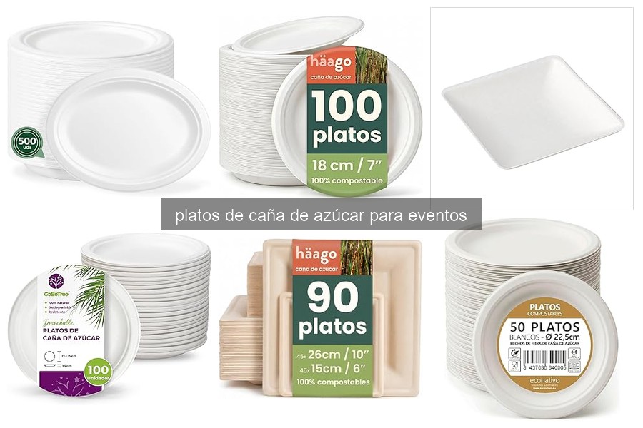 Platos de caña de azúcar: uso y características para eventos